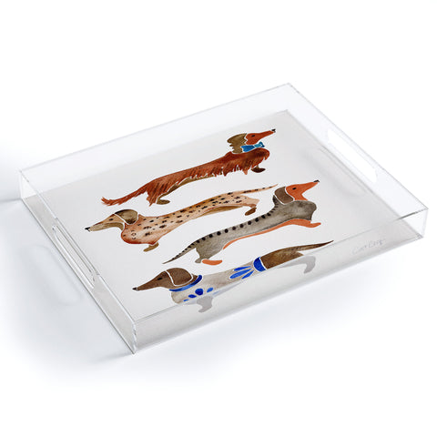Cat Coquillette Dachshunds by CatCoq Acrylic Tray
