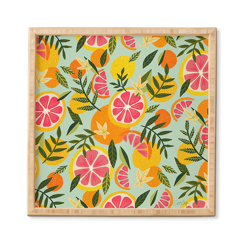 Cat Coquillette Grapefruit Blooms Mint Palette Framed Wall Art