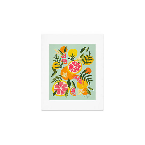 Cat Coquillette Grapefruit Blooms Mint Palette Art Print