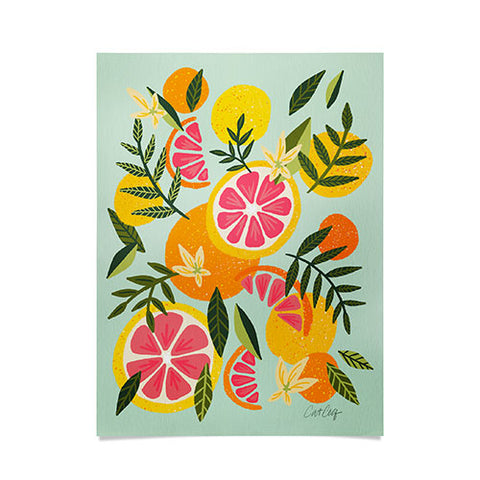 Cat Coquillette Grapefruit Blooms Mint Palette Poster