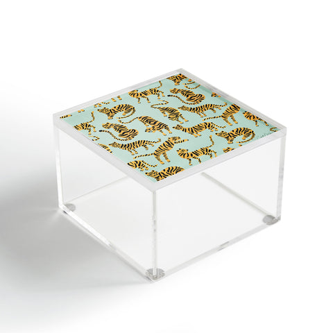 Cat Coquillette Tiger Collection Mint Orange Acrylic Box