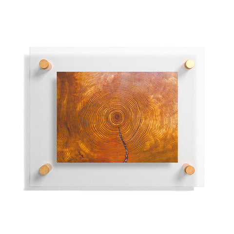 Catherine McDonald A Thousand Years Floating Acrylic Print