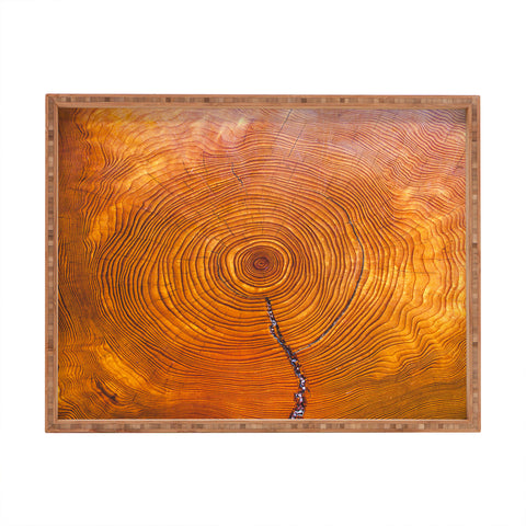 Catherine McDonald A Thousand Years Rectangular Tray