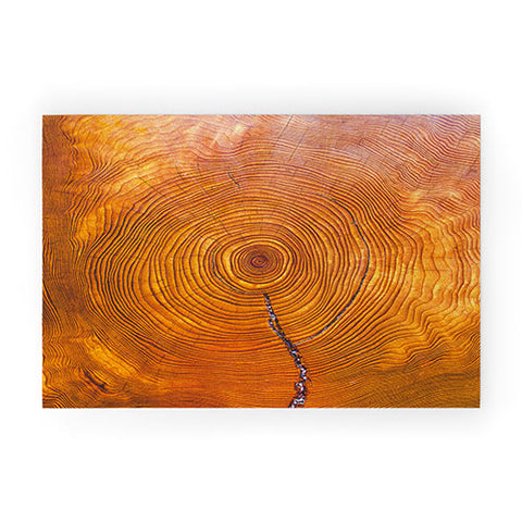 Catherine McDonald A Thousand Years Welcome Mat