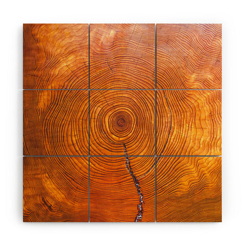 Catherine McDonald A Thousand Years Wood Wall Mural