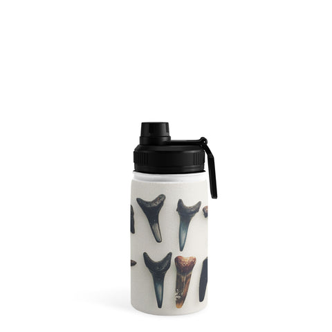 Catherine McDonald Amelia Island Shark Teeth Water Bottle