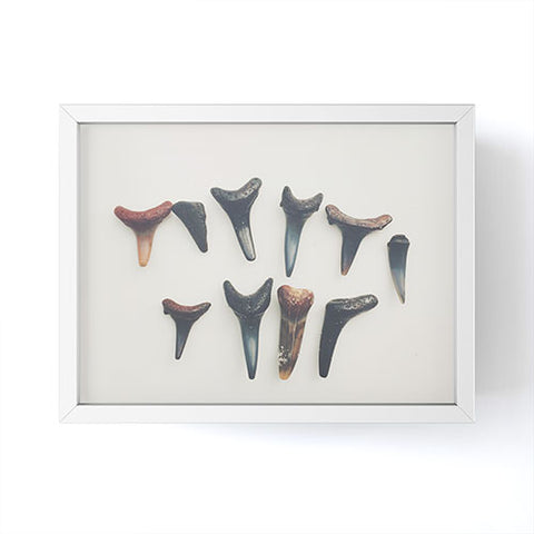 Catherine McDonald Amelia Island Shark Teeth Framed Mini Art Print