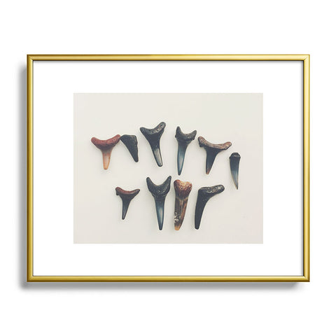 Catherine McDonald Amelia Island Shark Teeth Metal Framed Art Print