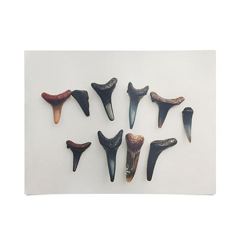Catherine McDonald Amelia Island Shark Teeth Poster