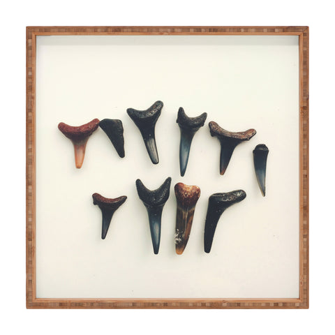 Catherine McDonald Amelia Island Shark Teeth Square Tray