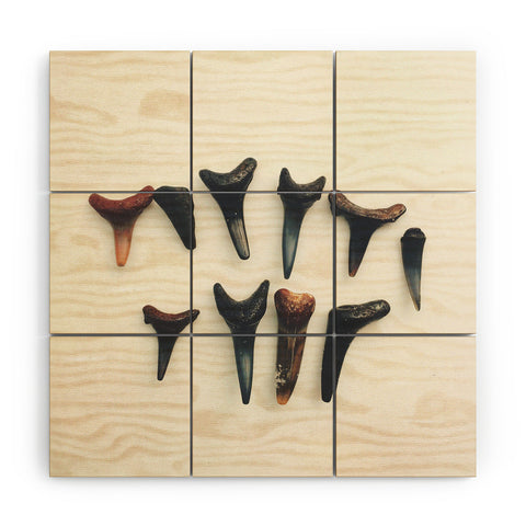 Catherine McDonald Amelia Island Shark Teeth Wood Wall Mural