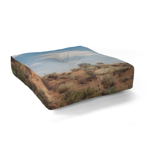 Catherine McDonald Arizona Painted Desert Floor Pillow Square