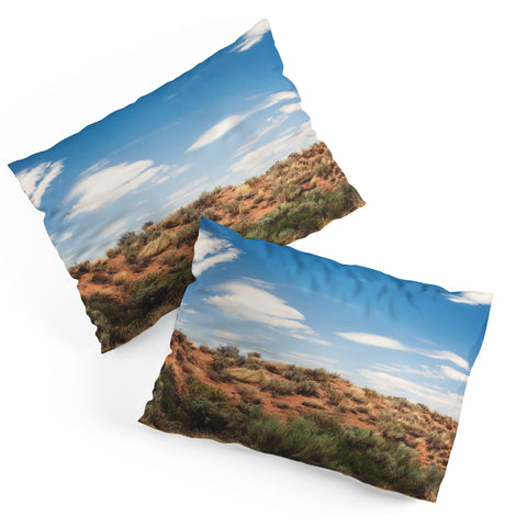Catherine McDonald Arizona Painted Desert Pillow Shams