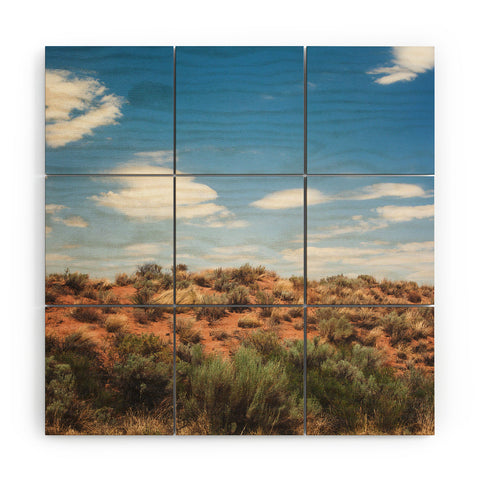 Catherine McDonald Arizona Painted Desert Wood Wall Mural