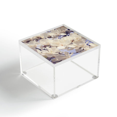 Catherine McDonald Asian Magnolias Acrylic Box