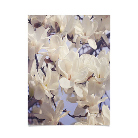 Catherine McDonald Asian Magnolias Poster