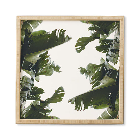 Catherine McDonald BIRDS OF CALIFORNIA Framed Wall Art