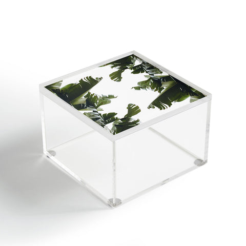 Catherine McDonald BIRDS OF CALIFORNIA Acrylic Box