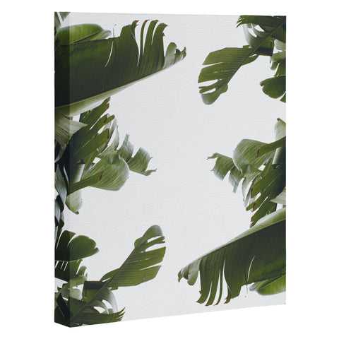 Catherine McDonald BIRDS OF CALIFORNIA Art Canvas