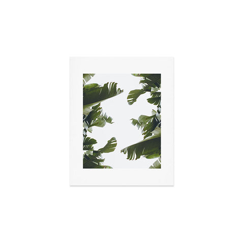 Catherine McDonald BIRDS OF CALIFORNIA Art Print