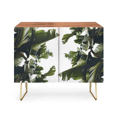 Catherine McDonald BIRDS OF CALIFORNIA Credenza