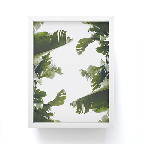 Catherine McDonald BIRDS OF CALIFORNIA Framed Mini Art Print