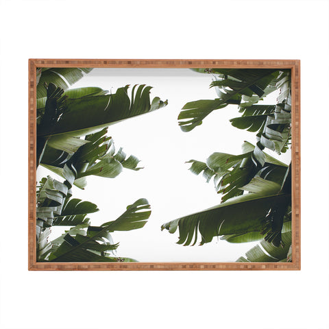 Catherine McDonald BIRDS OF CALIFORNIA Rectangular Tray