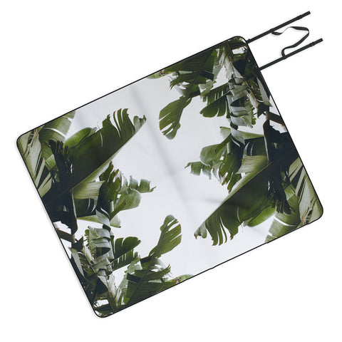 Catherine McDonald BIRDS OF CALIFORNIA Picnic Blanket