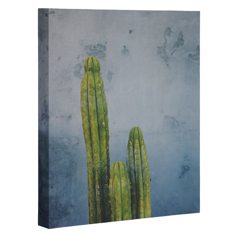 Catherine McDonald Cactus Family Portrait Art Canvas