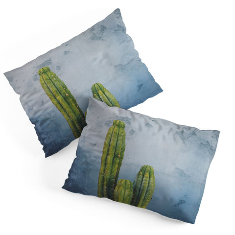 Catherine McDonald Cactus Family Portrait Pillow Shams