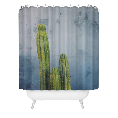 Catherine McDonald Cactus Family Portrait Shower Curtain