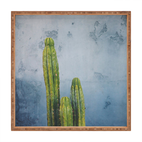 Catherine McDonald Cactus Family Portrait Square Tray