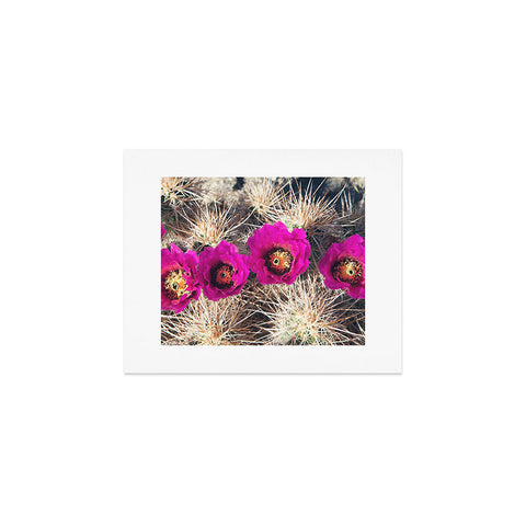 Catherine McDonald Cactus Flowers Art Print