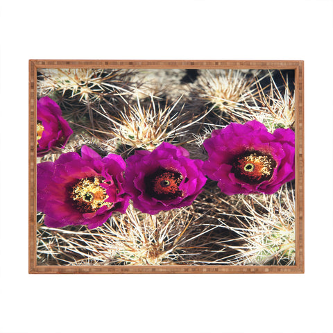 Catherine McDonald Cactus Flowers Rectangular Tray