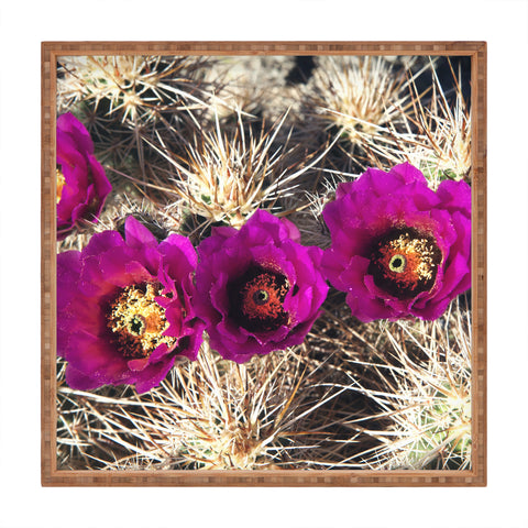 Catherine McDonald Cactus Flowers Square Tray
