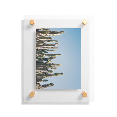 Catherine McDonald Cactus Perspective Floating Acrylic Print