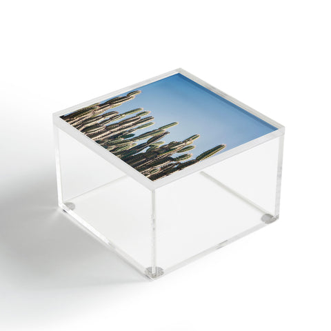 Catherine McDonald Cactus Perspective Acrylic Box
