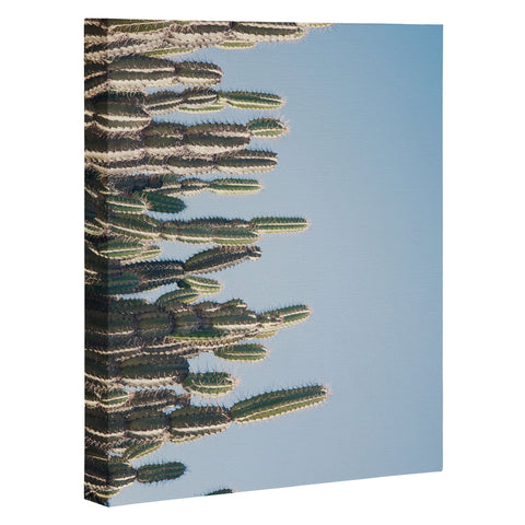 Catherine McDonald Cactus Perspective Art Canvas