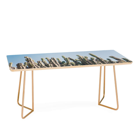 Catherine McDonald Cactus Perspective Coffee Table