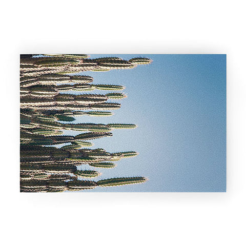 Catherine McDonald Cactus Perspective Horizontal Welcome Mat