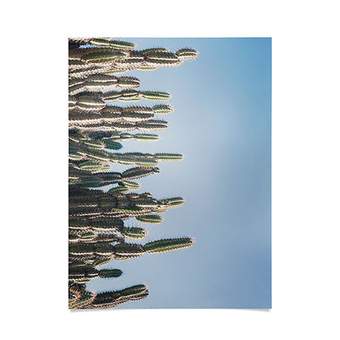 Catherine McDonald Cactus Perspective Poster