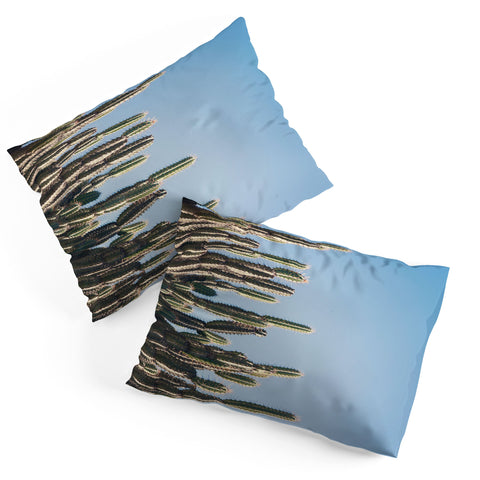 Catherine McDonald Cactus Perspective Pillow Shams