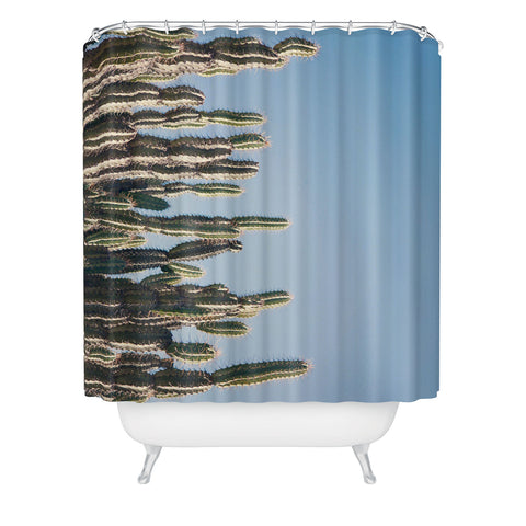 Catherine McDonald Cactus Perspective Shower Curtain