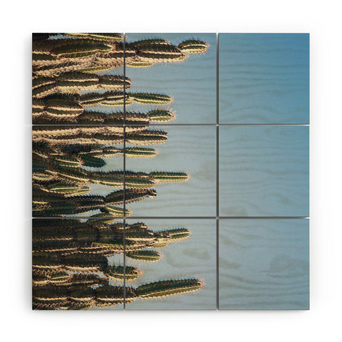 Catherine McDonald Cactus Perspective Wood Wall Mural