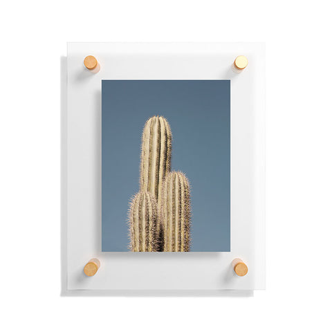 Catherine McDonald Cactus Trio Floating Acrylic Print