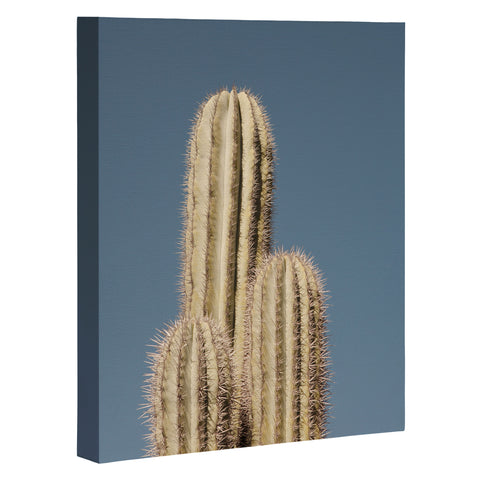 Catherine McDonald Cactus Trio Art Canvas