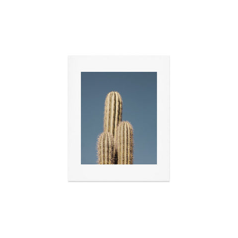 Catherine McDonald Cactus Trio Art Print