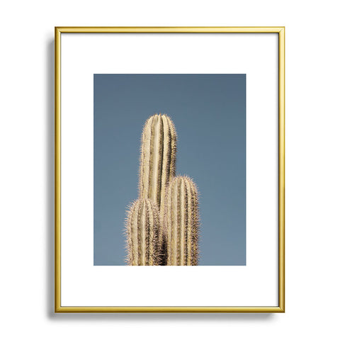 Catherine McDonald Cactus Trio Metal Framed Art Print