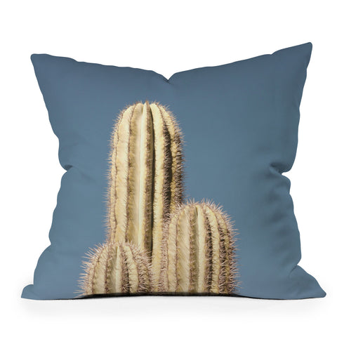 Catherine McDonald Cactus Trio Throw Pillow