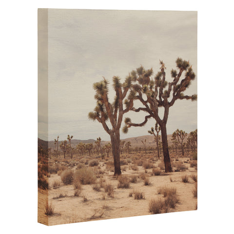 Catherine McDonald California Joshua Trees Art Canvas